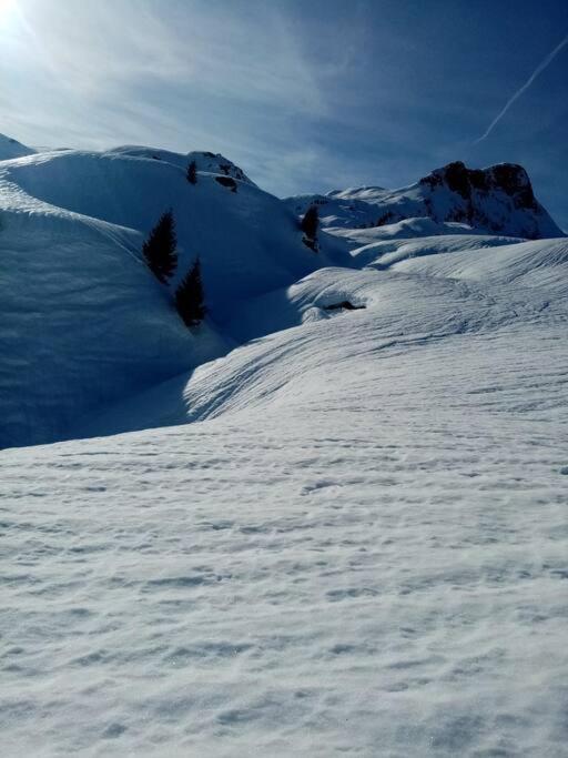 L'Appartement Les Bossons En Lisiere De Foret Dans Le Chalet Genepi Ареш Екстер'єр фото